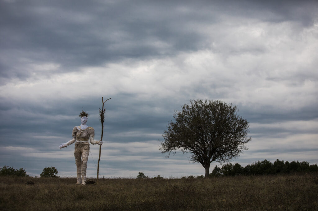 Photographie de la Pèlerine à proximité d'un arbre donnant son échelle, dans le paysage d'une vaste clairière, sur fond de ciel nuageux