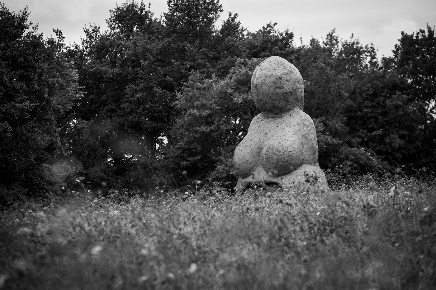 Photographie en noir et blanc de la Vénus en terre cru, dans un décors de prairie et de bois,