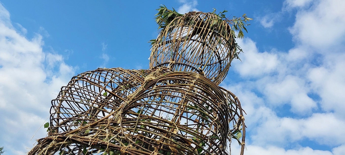 Photographie de la structure de bois raméal de la Vénus.