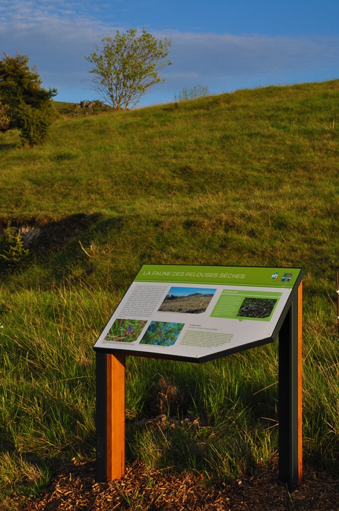 Lutrin pédagogique designs installé dans une décors naturel.