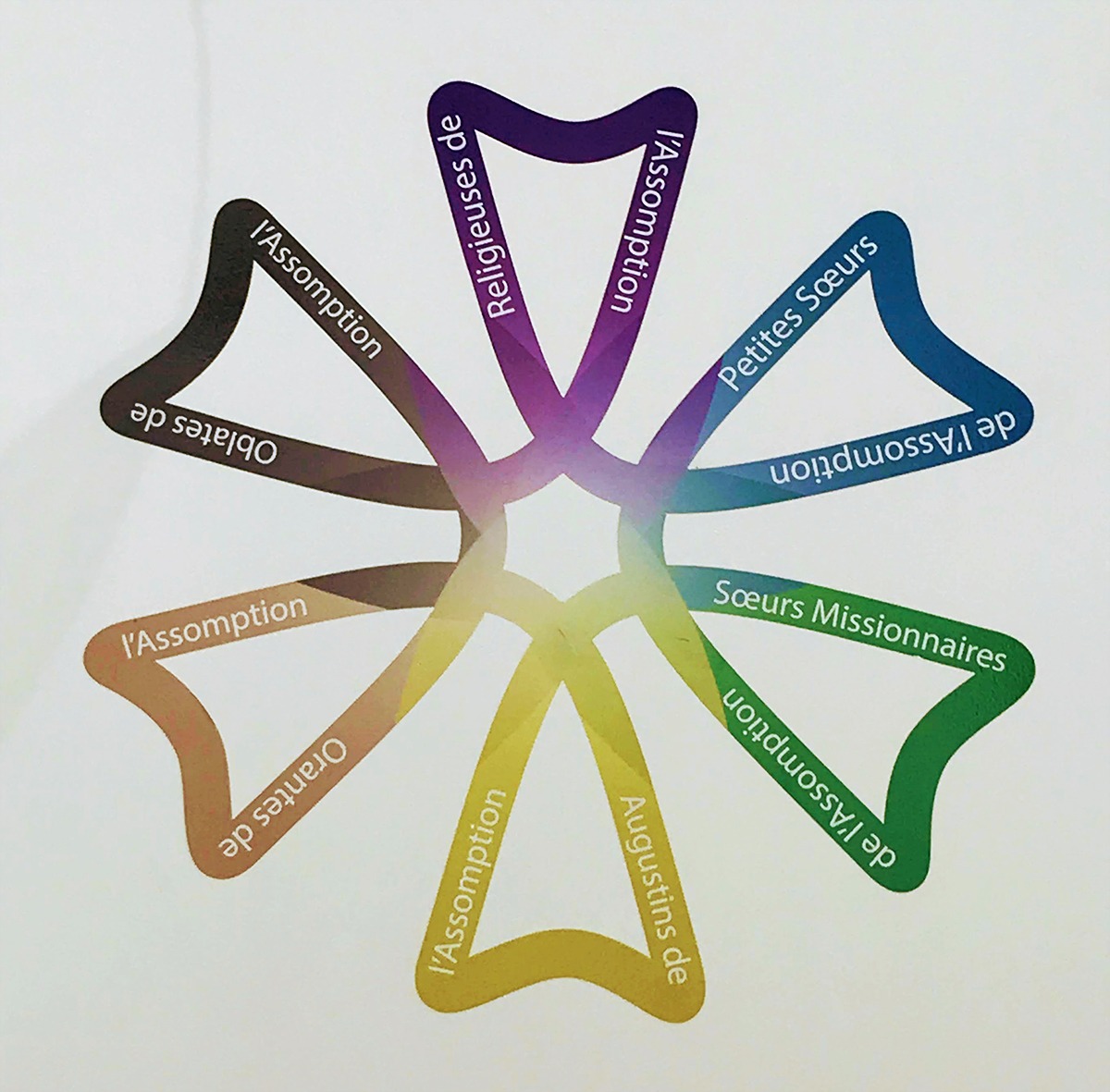 Représentation symbolique de la famille de l'Assomption sous la forme d'une fleur dont chaque pétale représente une congrégation, avec son nom et sa couleur représentative. Le concept est venue d'une déclinaison de la