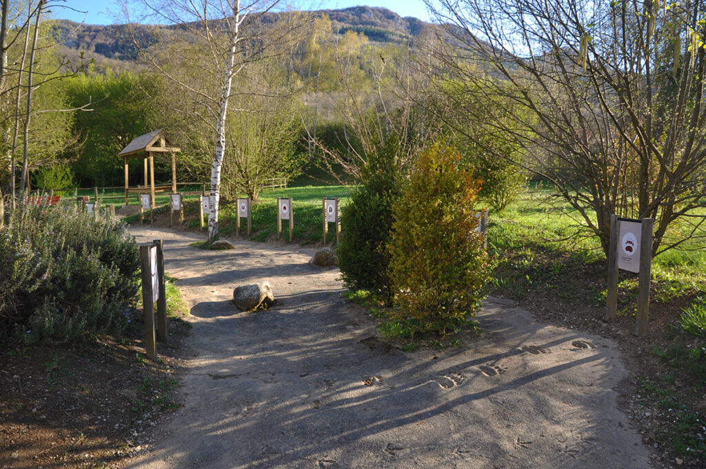 Ensemble de panneaux basculants à double face de l'espace ludique dédié aux traces d'animaux. Rafraichissement d'un dispositif pré-existant.