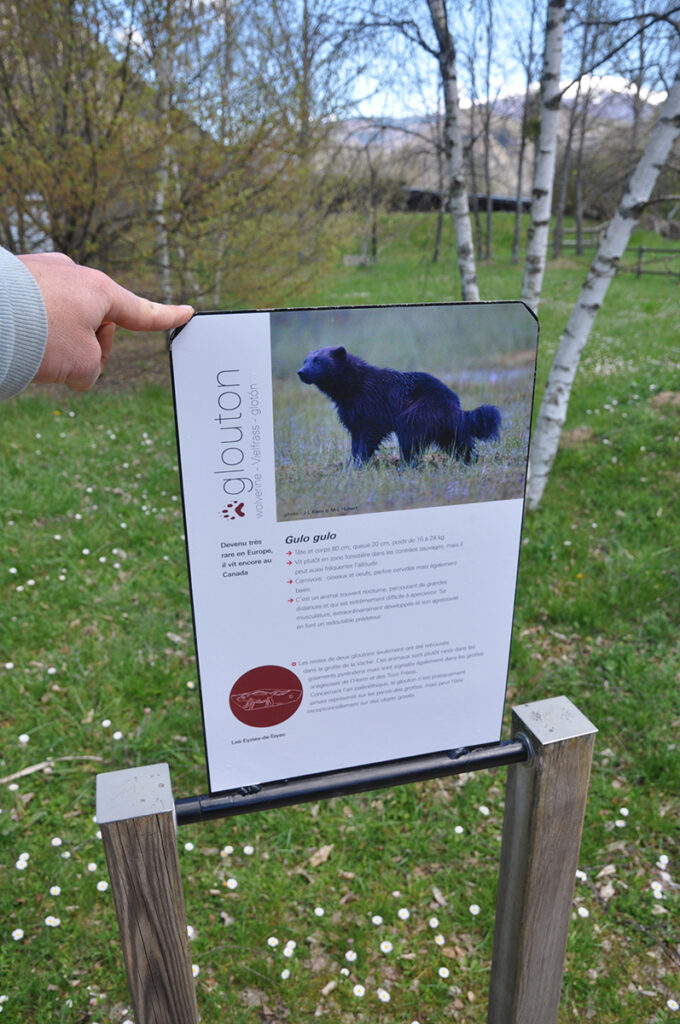 Photographie de panneau médiatique double face et basculant, appartement à l'espace trace, dévoilant la fiche d'identification de l'animal à découvrir à partir des ses traces.