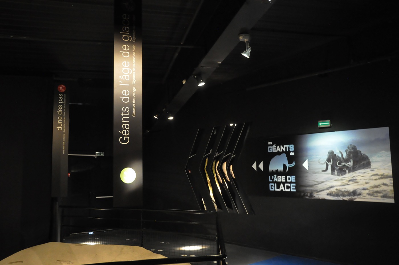 Photographie d'un ensemble de signalétique installée à l'occasion du rafraichissement de la signalétique du Musée de la préhistoire.