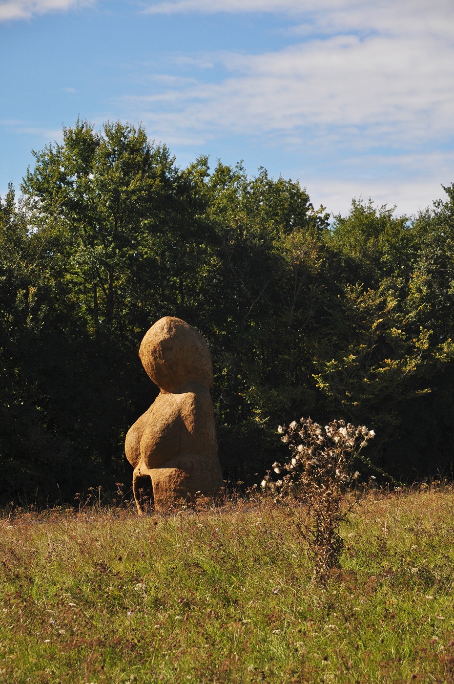 Photographie de la Vénus monumentale en terre cru, dans un décors de prairie et de bois, avec en avant plan un chardon marie en fleur,